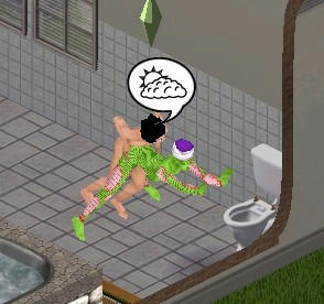 sim0099.jpg