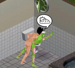 sim0100.jpg