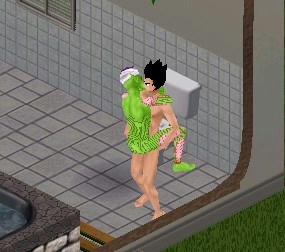 sim0102.jpg