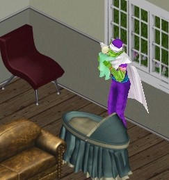 sim0012.jpg