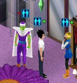 sim0024.jpg
