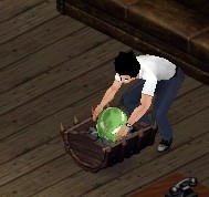 sim0042.jpg