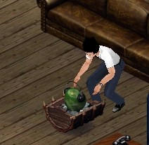 sim0043.jpg