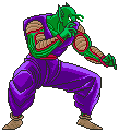 piccolo.gif