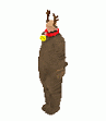 009c.gif