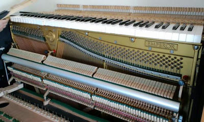7243da24.jpg