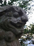 koma.jpg