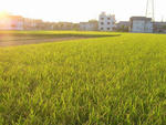 070905.jpg