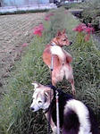 P1000005.JPG