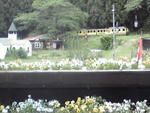 alpine1.jpg
