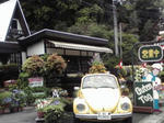 alpine2.jpg