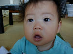 SANY0018.jpg