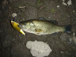 PB050024.jpg