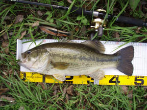 PB140026.jpg