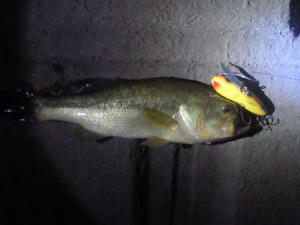 201009051958000.jpg