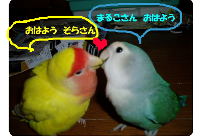 fimg_1210873085.png