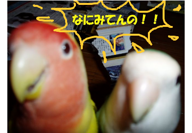 fimg_1210874470.png