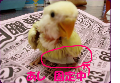 fimg_1211342233.png