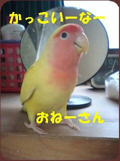 CA2JR5M0.jpg