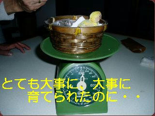 811c5a91.jpg