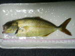 TS320291.JPG
