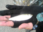 TS320367.JPG
