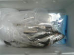 TS320372.JPG