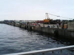 TS320377.JPG