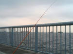 TS320580.JPG