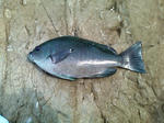 2009062705.jpg