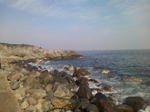 20091227.JPG