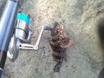 200912272.JPG