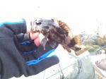 200912273.JPG