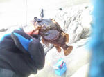 200912274.JPG