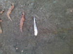 200912275.JPG