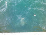 200912284.JPG