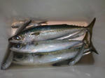 200912289.JPG