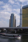 34a38836.jpg