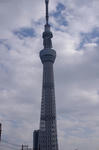 d398d6b4.jpg