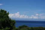 IMGP2260_s.jpg