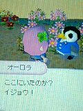 080420_0451~0001.jpg