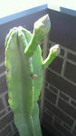 2010072208110000.jpg