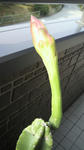 2010072707580002.jpg