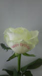 P1000160.jpg