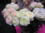 IMG_0646flowarexpo.jpg
