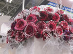 IMG_0647flowarexpo.jpg