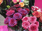 IMG_0648flowarexpo.jpg