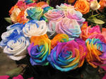 IMG_0649flowarexpo.jpg