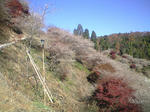 CA390434.JPG