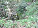 DSC_0025.JPG
